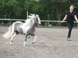 IMG_1140_web